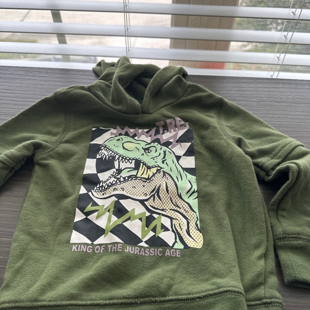 Dinosaur Hoodie